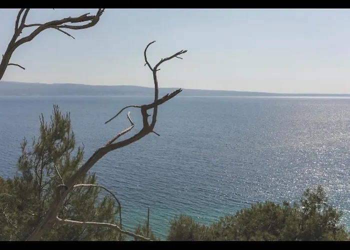 Sapore Di Mare *