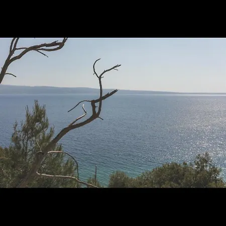 Sapore Di Mare *